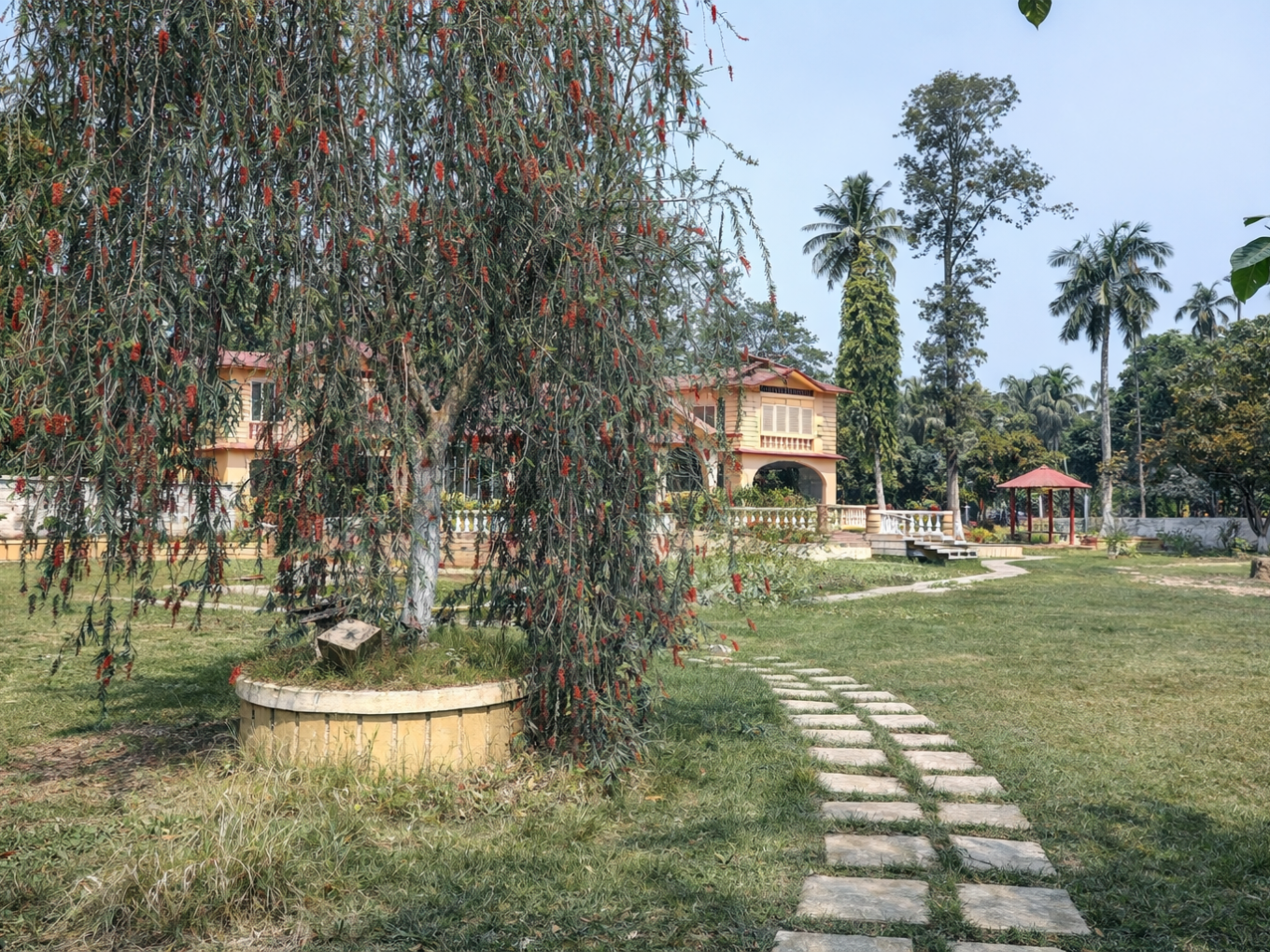 ChatGPT Image Feb 2, 2026, 09_51_29 PM