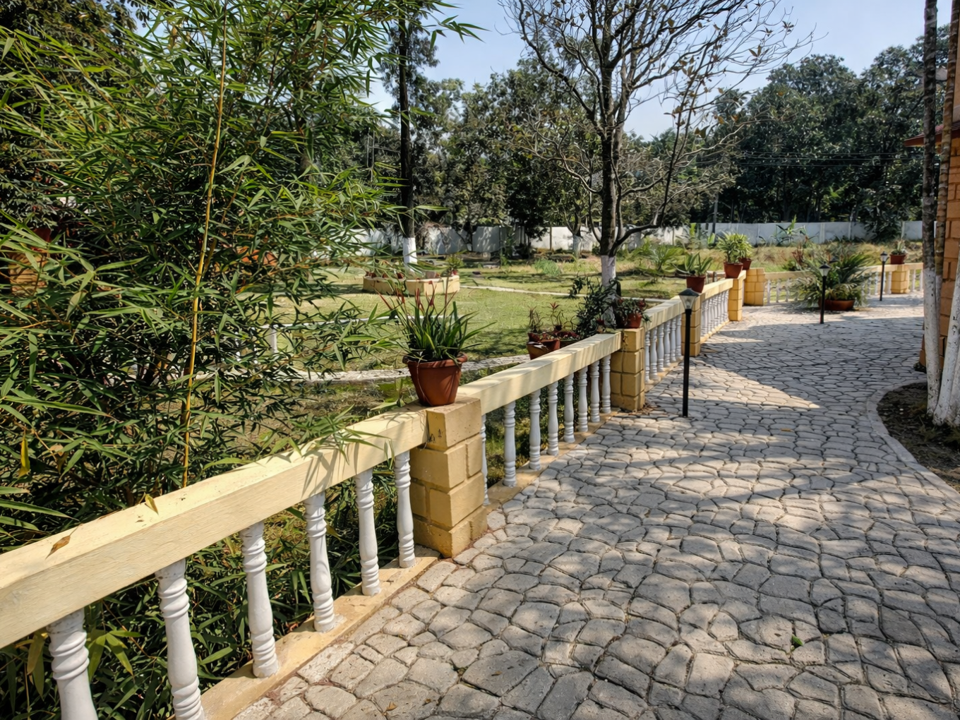 ChatGPT Image Feb 2, 2026, 09_55_18 PM